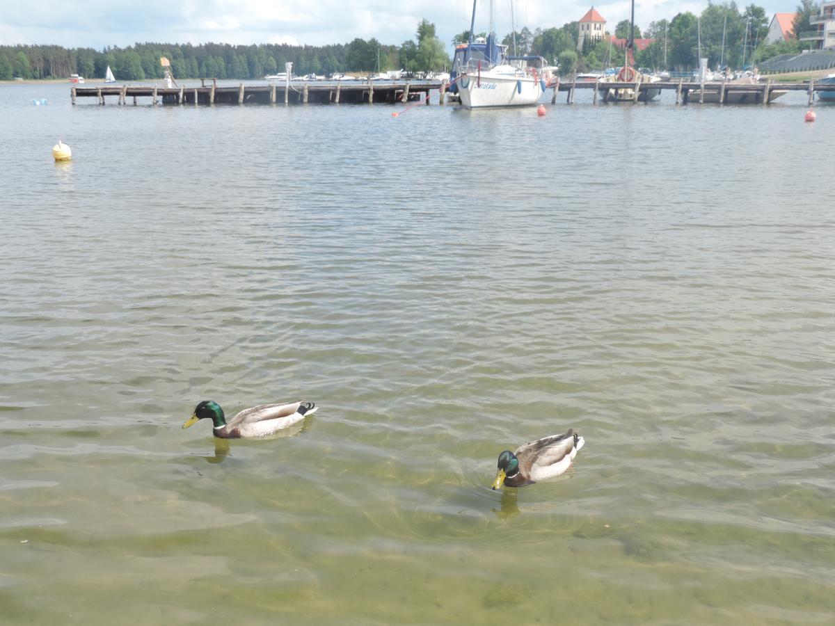 Mazurskie Wzgorze Rydzewo Exterior foto